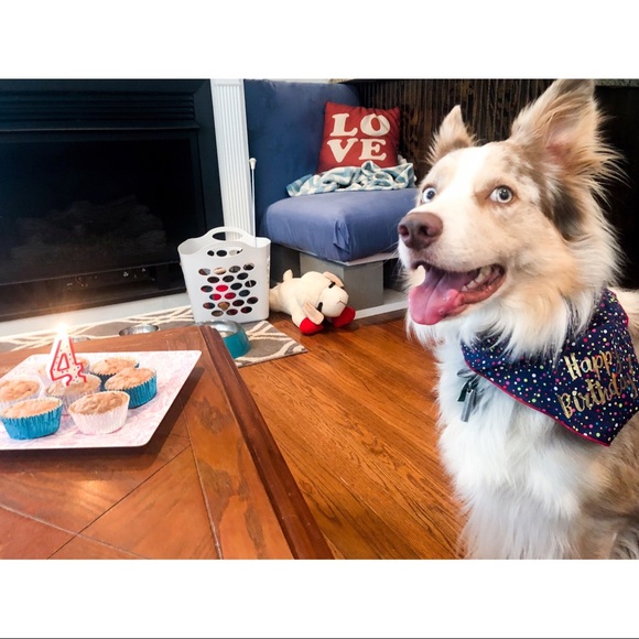 Follow me on Instagram - Picture 3 of 8